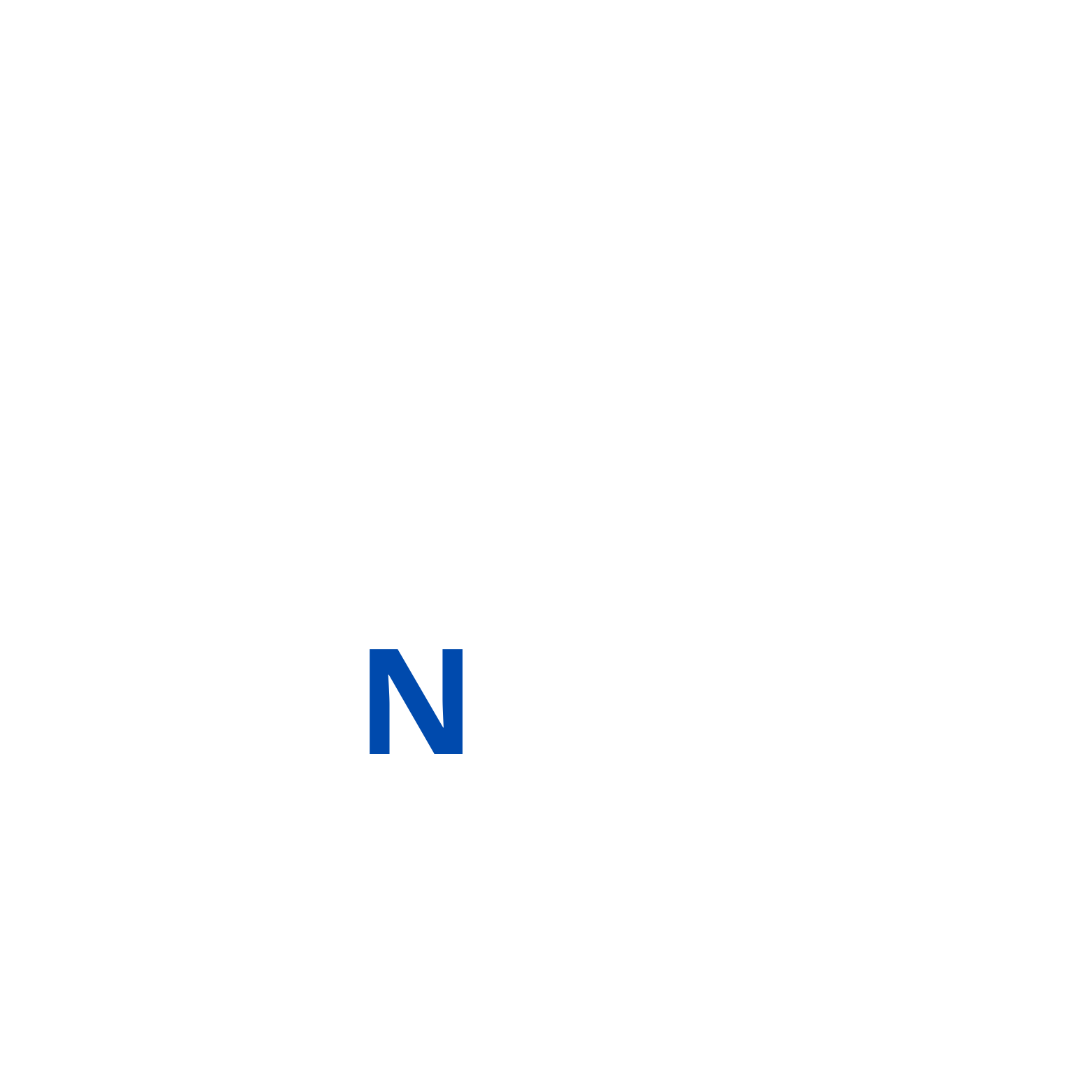 Naga Sistemas Logo