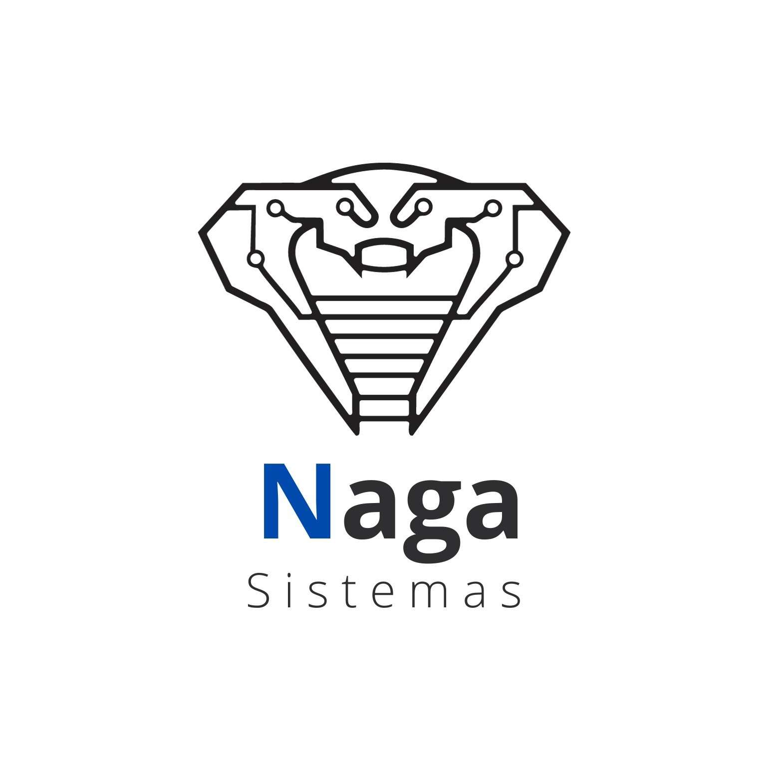 Sobre a Naga Sistemas